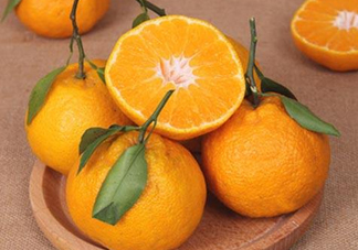 丑八怪是橙子嗎？丑八怪是不是橙子