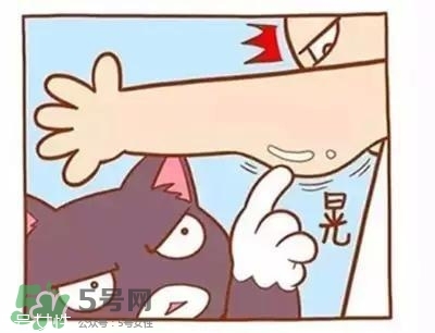 天鵝臂是什么？天鵝臂有用嗎