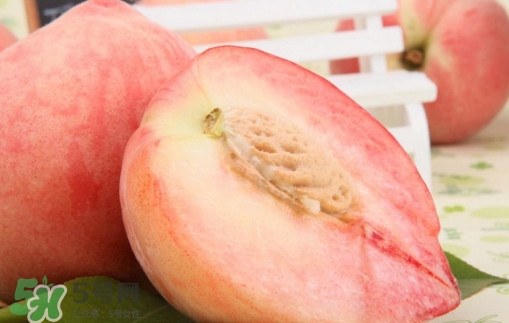 水蜜桃什么時(shí)候上市？水蜜桃什么時(shí)候有