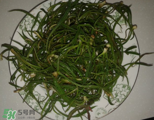 陽溝菜孕婦可以吃嗎？孕婦能吃陽溝菜嗎？