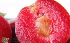 三華李是哪里的特產(chǎn)？三華李的產(chǎn)地是哪兒