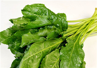 根達(dá)菜的營養(yǎng)價值 根達(dá)菜的功效與作用
