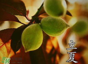 立夏吃什么水果？立夏吃什么水果好？