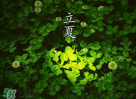 立夏吃什么水果？立夏吃什么水果好？