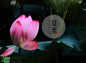 立夏和夏至有什么區(qū)別？立夏和夏至的區(qū)別