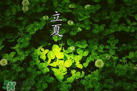 立夏和夏至有什么區(qū)別？立夏和夏至的區(qū)別