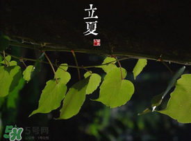 2017年立夏會下雨嗎？2017年立夏下雨好嗎？