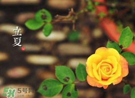 2017年立夏會下雨嗎？2017年立夏下雨好嗎？