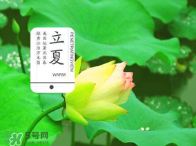 2017年立夏會下雨嗎？2017年立夏下雨好嗎？