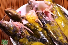 嘎魚孕婦能吃嗎？孕婦可以吃嘎魚嗎