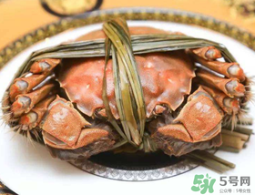 五月份有大閘蟹嗎？五月份的大閘蟹能吃嗎？