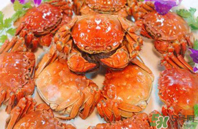 五月份有大閘蟹嗎？五月份的大閘蟹能吃嗎？