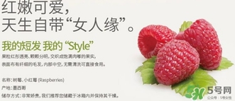 樹莓可以放冰箱嗎？樹莓可以保存幾天