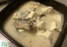 黑魚能和豆腐一起吃嗎？豆腐可以和黑魚一起吃嗎