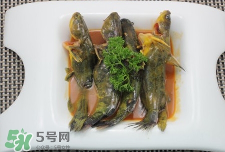 嘎魚不適合什么人吃？黃顙魚不適合什么人吃