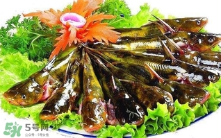 黃辣丁多少錢一斤？野生黃辣丁多少錢一斤