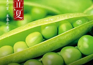 立夏吃什么好？立夏吃什么蔬菜？
