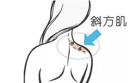 天鵝頸是什么樣的？天鵝頸怎么練？