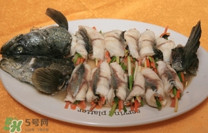 生魚是什么魚？生魚片是什么魚