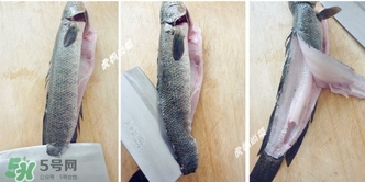 黑魚怎么切片？黑魚如何切魚片