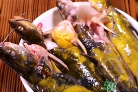 嘎魚是鯰魚嗎？嘎魚是黃辣丁嗎