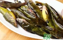 嘎魚是海魚嗎？嘎魚是什么魚