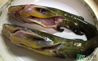 黃辣丁一斤多少錢？黃辣丁價格