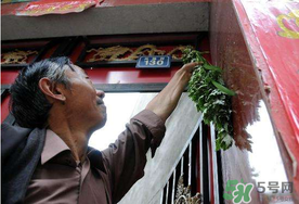 端午節(jié)為什么掛艾草？端午節(jié)掛艾草的由來