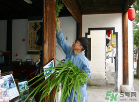 端午節(jié)門上掛的那個(gè)草叫什么？端午節(jié)掛門上的叫什么？