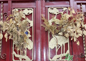 端午節(jié)門上掛的那個(gè)草叫什么？端午節(jié)掛門上的叫什么？
