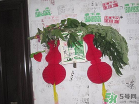 端午節(jié)門上掛的那個(gè)草叫什么？端午節(jié)掛門上的叫什么？