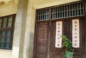 端午節(jié)插門上的是什么？端午節(jié)為什么要插艾草？