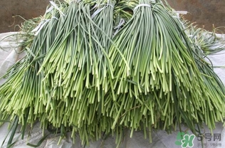 蒜薹跟什么相克？蒜薹不能和什么一起吃