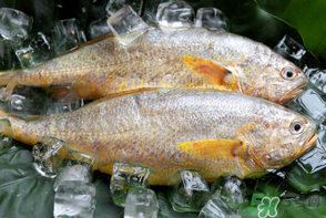 端午節(jié)為什么要吃黃魚？端午節(jié)吃黃魚的由來