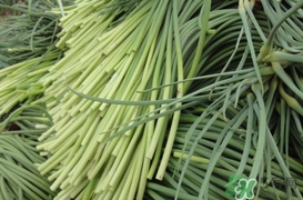 蒜薹怎么摘？蒜薹怎么擇？