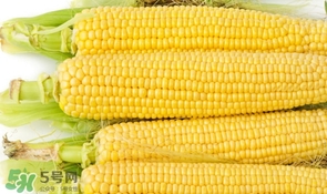妊娠糖尿病可以吃玉米嗎？妊娠糖尿病能吃玉米嗎