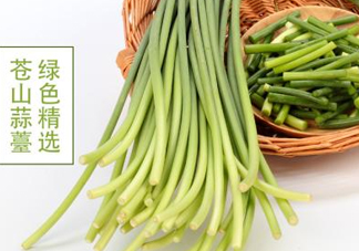 蒜薹是怎么長(zhǎng)出來(lái)的？蒜薹和蒜苔有什么區(qū)別