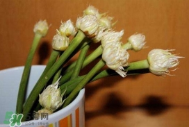 蒜薹可以放冰箱嗎？蒜薹可以冷凍嗎