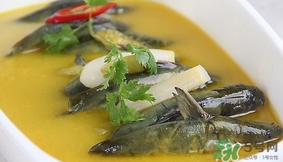 黃辣丁能和菠菜同食不？菠菜可以和黃辣丁一起吃嗎