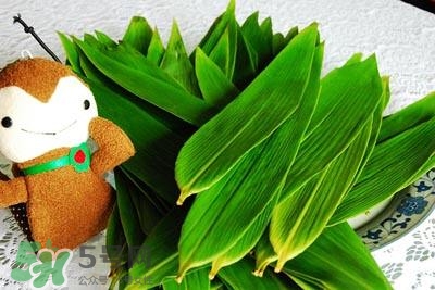 包粽子的葉子叫什么？包粽子的葉子怎么處理？
