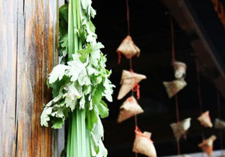 端午節(jié)門上掛的那個草叫什么？端午節(jié)掛門上的叫什么？