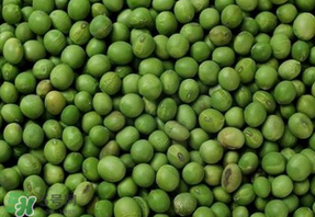 青豆可以打豆?jié){嗎？青豆能做豆?jié){嗎？