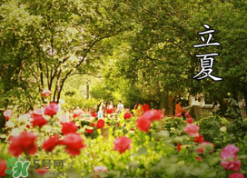 ?立夏是夏天嗎？?立夏是夏天的開(kāi)始嗎？