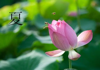 ?立夏是夏天嗎？?立夏是夏天的開始嗎？