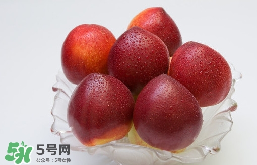 油桃什么時候成熟？油桃什么季節(jié)成熟