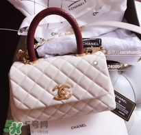 老佛爺是什么牌子？香奈兒老佛爺資料簡歷