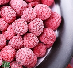 樹莓的熱量 樹莓可以減肥嗎？