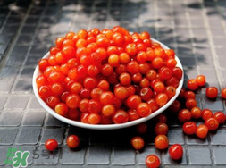 立夏嘗三新指的是什么？立夏嘗新活動(dòng)