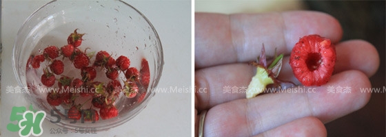 樹莓有毒嗎？樹莓有刺嗎？