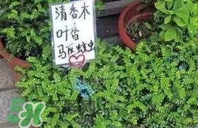 寶寶驅(qū)蚊產(chǎn)品哪個(gè)好？寶寶驅(qū)蚊用什么好？